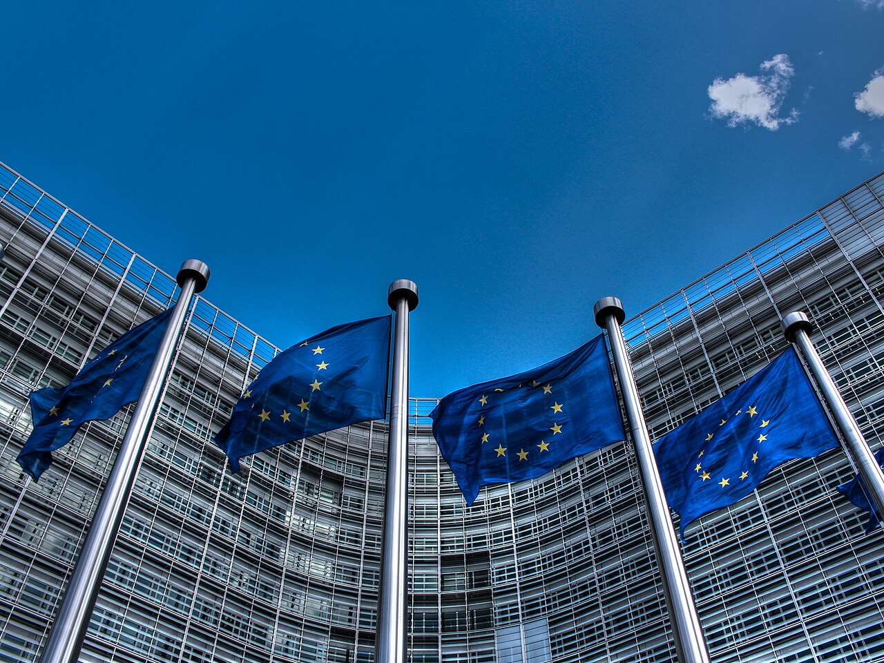 European Union flags